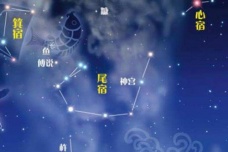尾火虎星宿简介