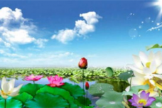 乾隆要刘墉跳荷花池是怎么回事