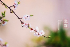 双春年和无春年是怎么回事