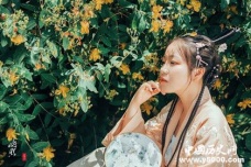 纳兰词最唯美的句子盘点