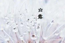 白露有什么含义
