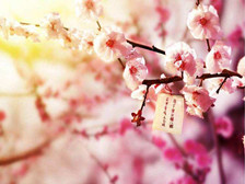 唐伯虎绘画上的成就