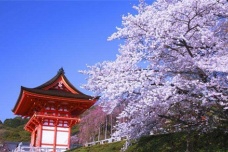 清水寺的历史沿革