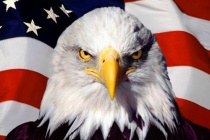 美国白头海雕标志的意义