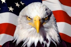 美国白头海雕标志的意义
