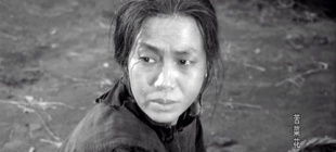 2020年3月23日：曲云逝世