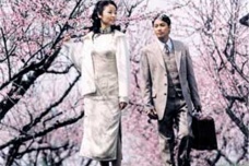 张爱玲的散文成就