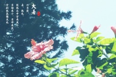 大暑有什么含义