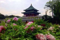 李白在沉香亭做了什么诗