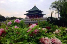 李白在沉香亭做了什么诗