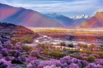 林芝都有哪些风景名胜