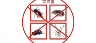 1958年2月12日：全国号召除四害