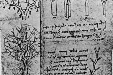 达芬奇不为人知的那些事