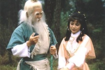 金庸《射雕英雄传》：深刻的历史性