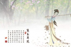 《葬花词》全文内容赏析