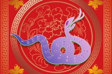 属蛇的人性格