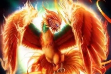 四大神兽的南方之神：朱雀