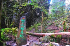 神农架深处为何会成为禁区