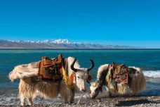 纳木错位于哪里