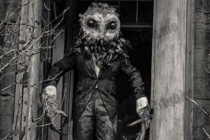 鸮人的三次目击事件