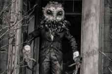 鸮人的三次目击事件