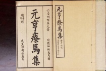 中兽医学成熟标志：《元亨疗马集》