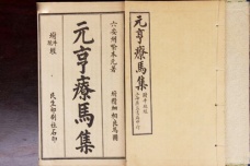 中兽医学成熟标志：《元亨疗马集》