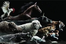 十二生肖的排序