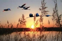 刘彻《秋风辞》鉴赏点评