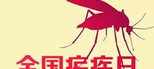 2008年4月26日：全国疟疾日