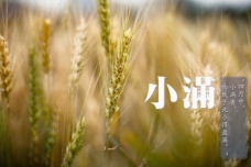 小满的含义