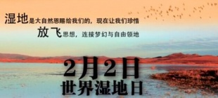 1997年2月2日：世界湿地日