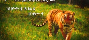 2010年7月29日：全球老虎日