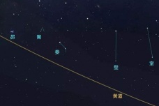 胃土雉星宿简介