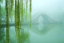 《诉衷情·东风杨柳欲青青》鉴赏