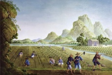 刘宋时期的农业发展