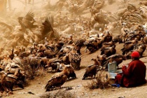 藏族的天葬文化是什么