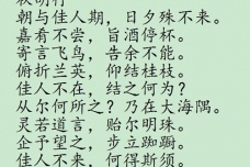 曹丕《秋胡行》赏析