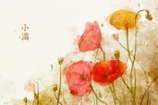 关于小满的诗词