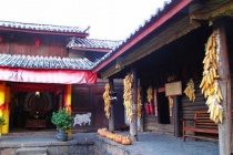 纳西族的经济发展