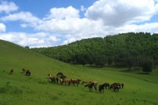 木兰围场在哪里