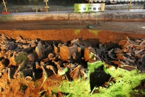 长平之战有遗迹吗