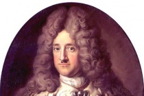 狮子亨利生平简介