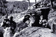 上甘岭战役真实伤亡