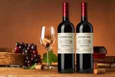 智利葡萄酒的历史发展