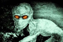 多佛恶魔是真实存在的吗