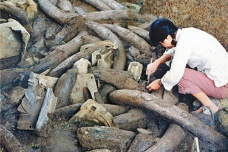 三星堆祭祀坑出土了哪些文物