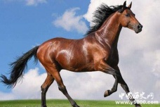 《水浒传》中的三大名马