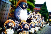 日本信乐烧历史介绍