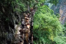 蜀身毒道究竟是什么